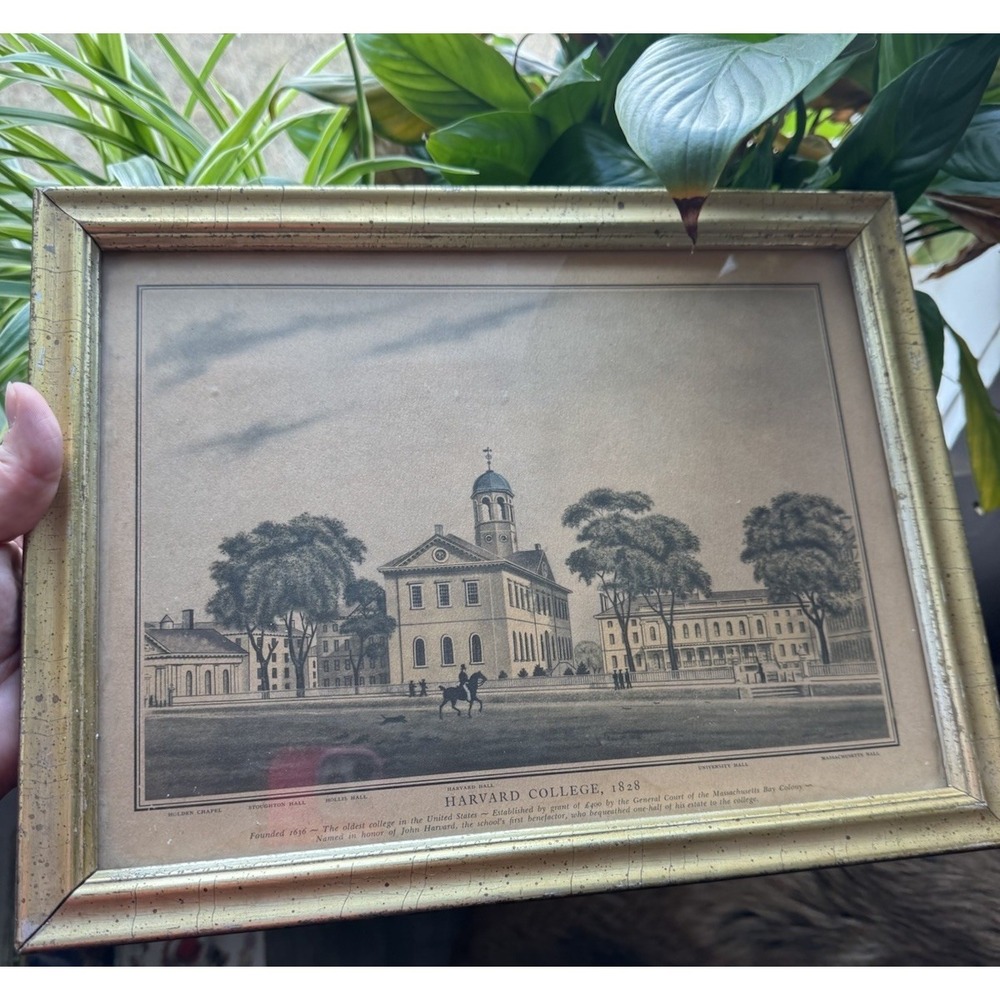 HARVARD COLLEGE 1828 HARVARD HALL LEMON GOLD BORGHESE FRAMED PRINT 13.5 X 10.5